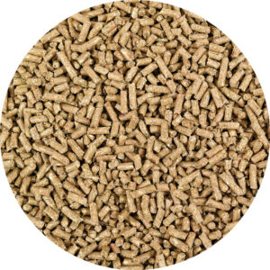 AVEVE Sport Basic 15 kg