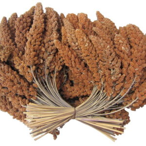 Røde hirsekolber 25 kg