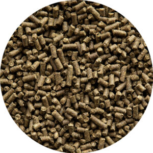 AVEVE Performance Pellets 15 kg