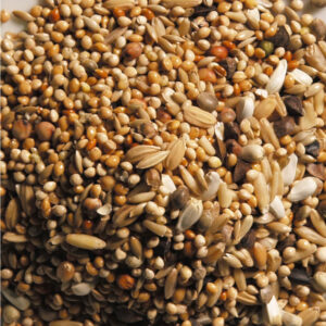 Natural king Standard Parakit u/sol, 15 kg