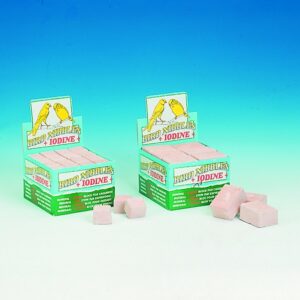 Engelske pigsten, 48 stk. S