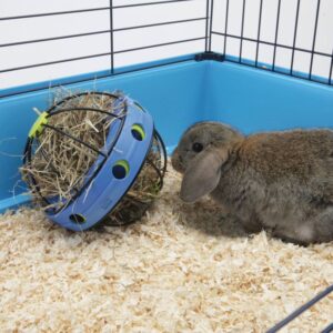 Hø dispenser - Bunny Toy