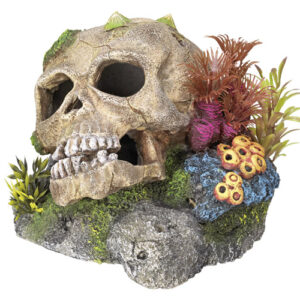 Akvariedekoration - Scull, med plants