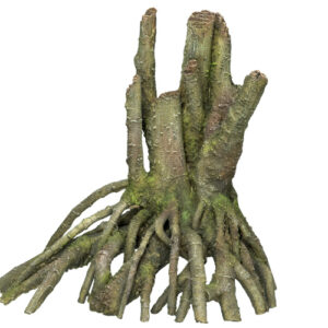 Akvariedekoration - Root