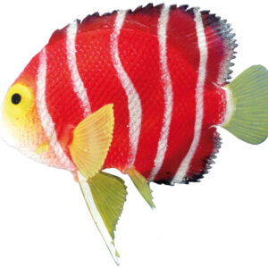 Akvariedekoration - Fantasy Decor, Skalar