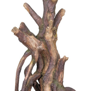 Akvariedekoration - Wood