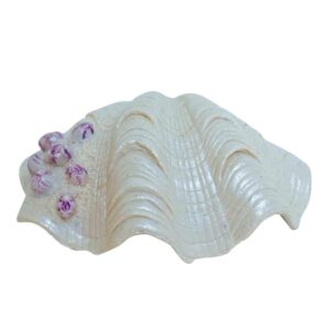 Akvariedekoration  SHELL