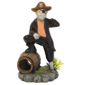 Akvariedekoration PIRATE med planter