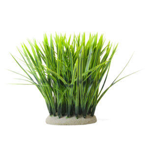 Akvariedekoration VALLISNERIA