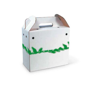 Transportkarton 1 due (B)