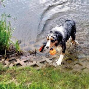 TPR Bold WAFER med elastik, Floating