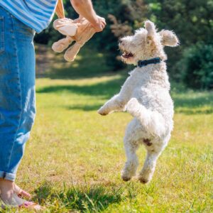 Plys kanin med invendigt reb