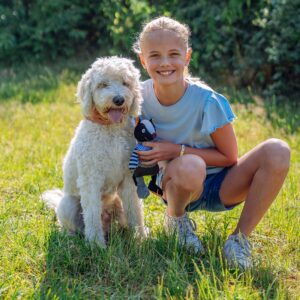 Display 12 stk - Plys dyr Patchwork