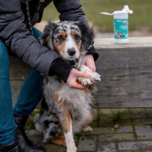 Display 9 x 70 stk. Universal vådservietter