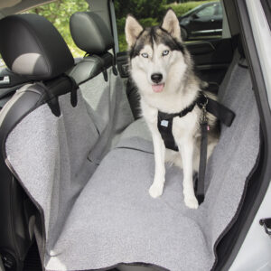 Sæde beskyttelse til bilen