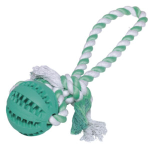 Dental line, bold m. reb