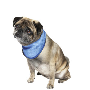 Pet Ice Bandana