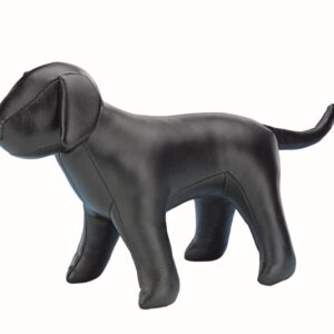 Udstillingshund, Lille