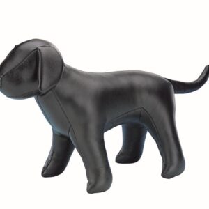 Udstillingshund, Stor