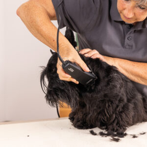 Wahl Rex Trimmer (1230)