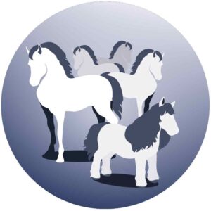 Wahl Eclipse Trimmer