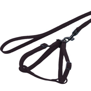 Gnaversæt til fritter, rotter ol., sort