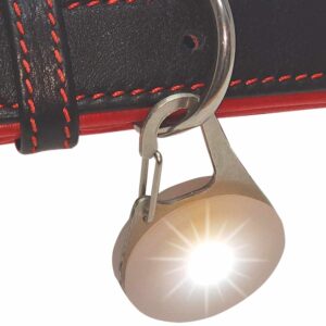 Display 12 stk., LED Blinker  LIGHT