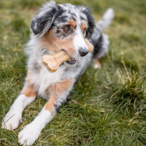 Råhud ben presset, 1 stk. (Thailand)