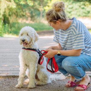 Norsk Sele Mesh Preno