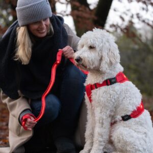 Leash FLASH MESH, M-L