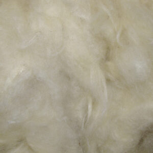 Kapok wool