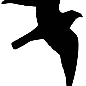 Sticker bird of prey