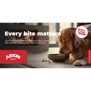 ARION Meshbanner DK, Motiv A, 200x100cm