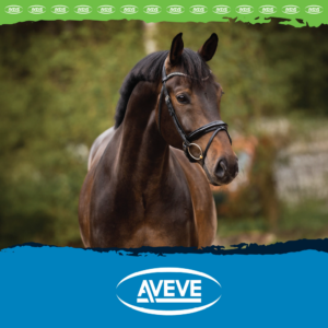 Aveve Foderbrochure DK