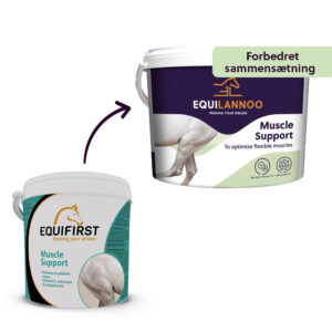 EQL Muscle Support 2 kg