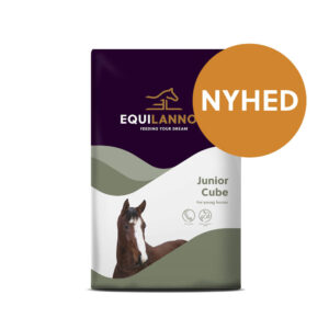 EQL Junior Cube 20 kg