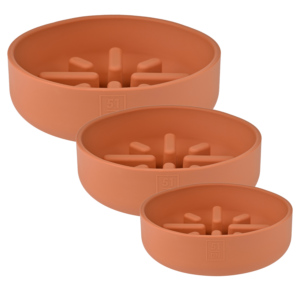 51 - Sili Bowl - Slow Feeder Bowl
