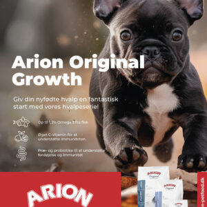 ARION Plakat 50*70 cm Hvalp