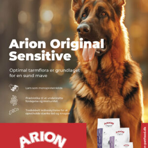ARION Plakat 50x70 cm Sensitive