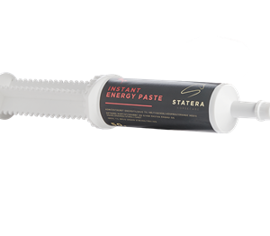 Statera Horsecare Instant Energy Paste