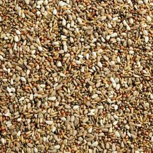 Natural Finesse Wizard, 20 kg