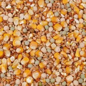 Natural Allround, 20 kg