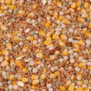 Natural Sports / Avl NL, 20 kg