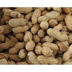 Jordnødder m. skal, 10 kg