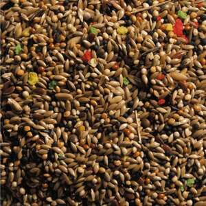 Natural King Standard Kanarie, 15 kg