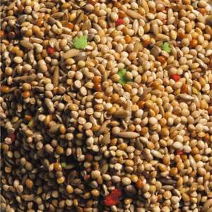 Natural King Standard Undulat, 15 kg