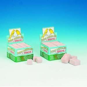 Engelske pigsten, 48 stk. S