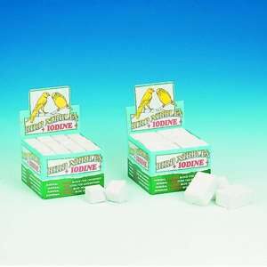 Engelske pigsten, 18 stk. L