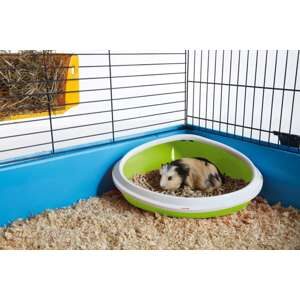 Gnavertoilet Concha M