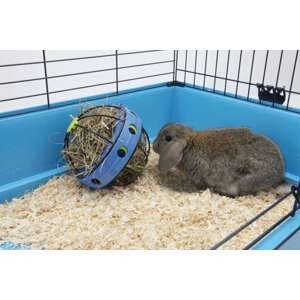 Hø dispenser - Bunny Toy